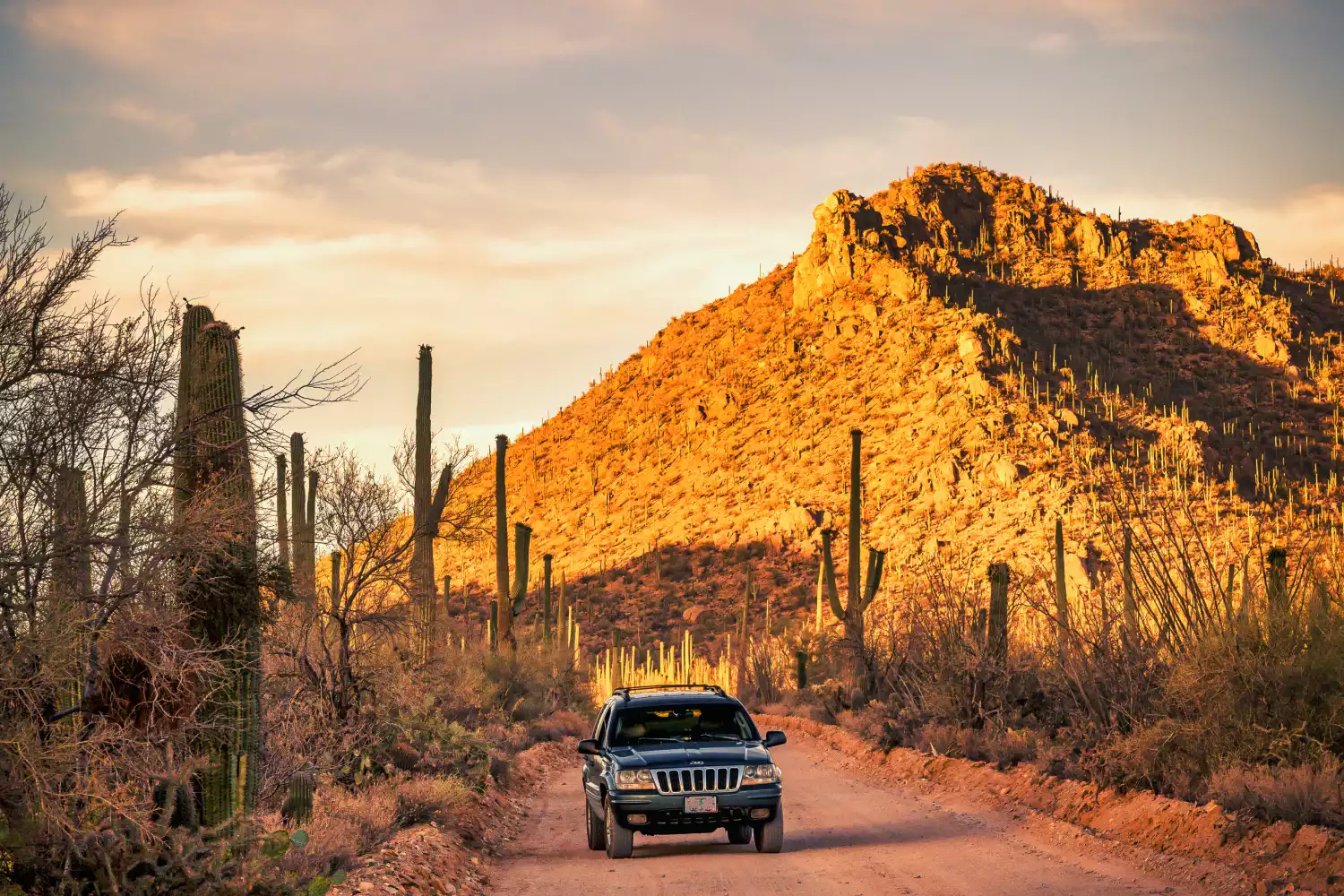 Jeep Grand Cherokee trunk organizer