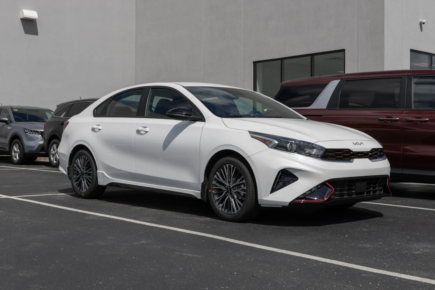 German Wirehaired Pointers Dog Car Seat Belt for Kia Forte