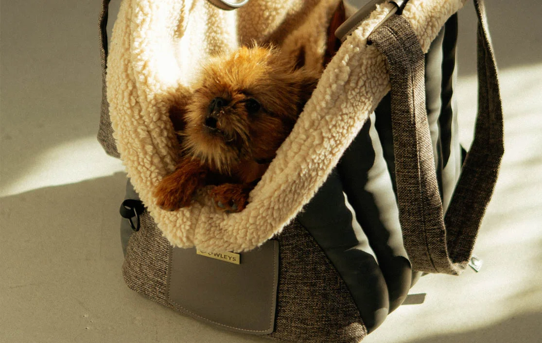 Toyota Prius Dog Carrier Car Seat for Miniature Pinscher